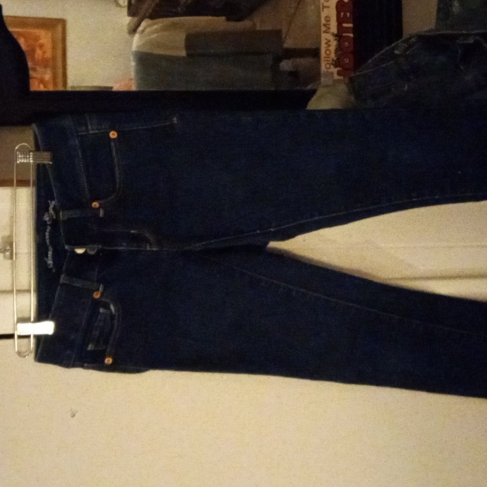 American Eagle Capris Artist